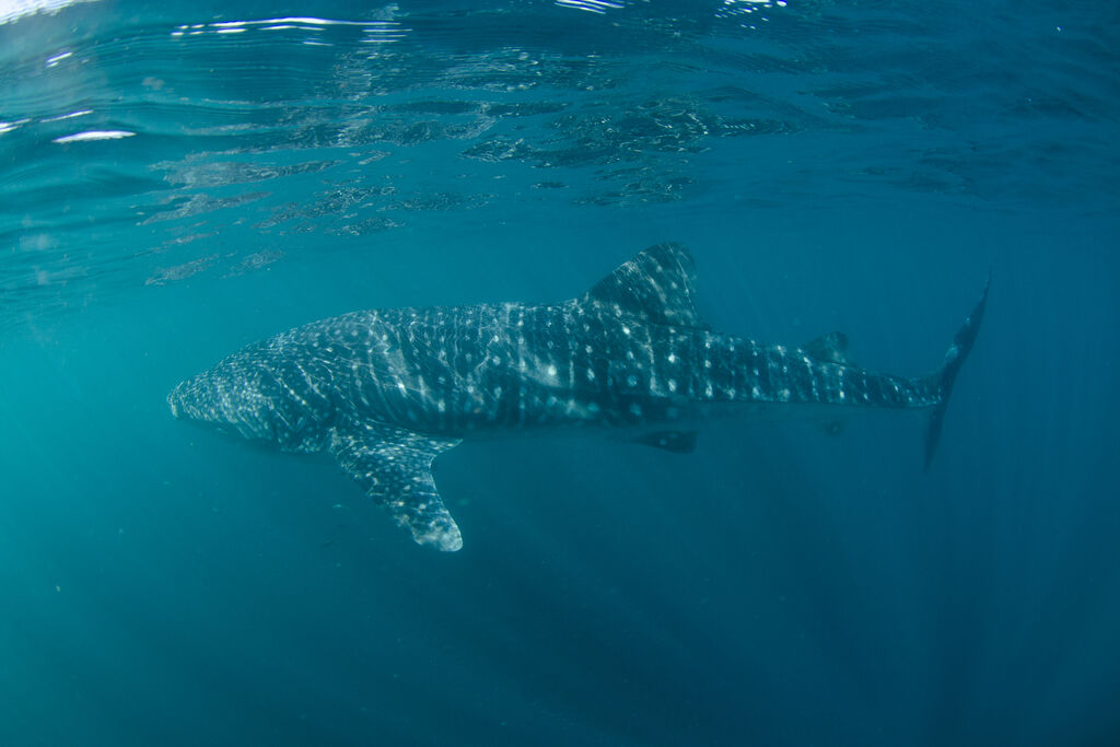 05b78436-ab62-48c4-9b41-e271abd302d2