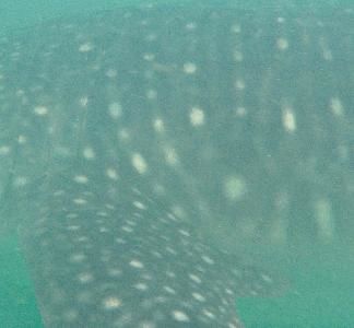 27d45831-dad6-42d6-8e2b-f9da42b7daf6