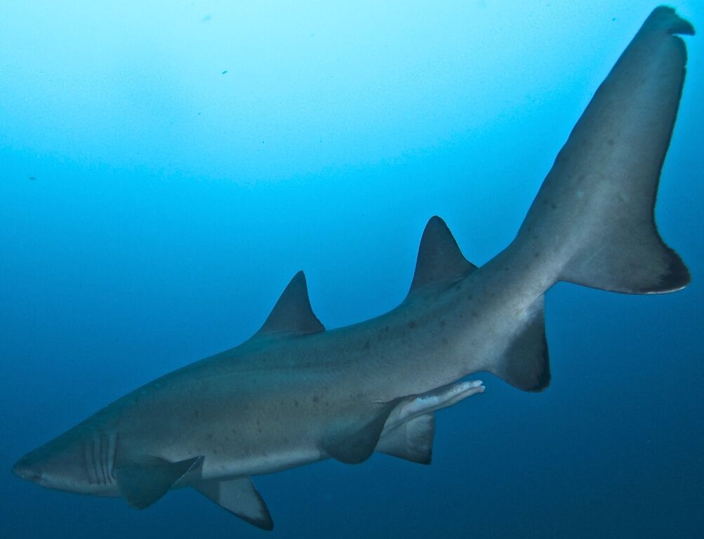 65b8b91d-9b03-4a0b-a502-690fb135c393