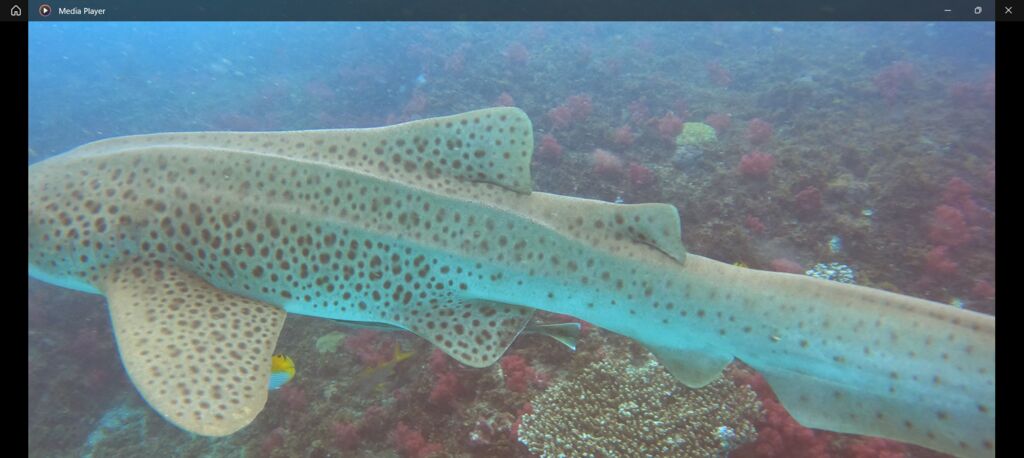 6e9400aa-2cc6-4d17-bf06-813aebbc187b