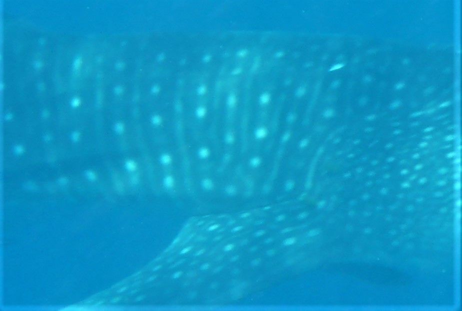 50a51591-d8de-4bd8-b05e-d761c2661b32