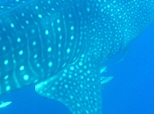 1dbf8cb7-e376-4370-a23e-f4a748d3edb4