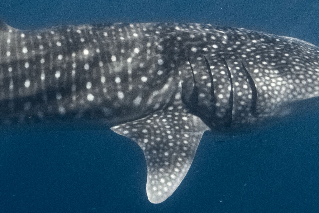 57fec227-b47d-4233-88bd-9dbbedbb31b8