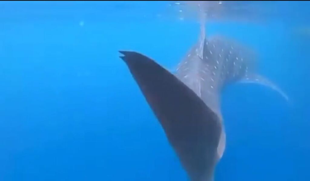 6d708767-68d8-40c4-917b-07760501ceda