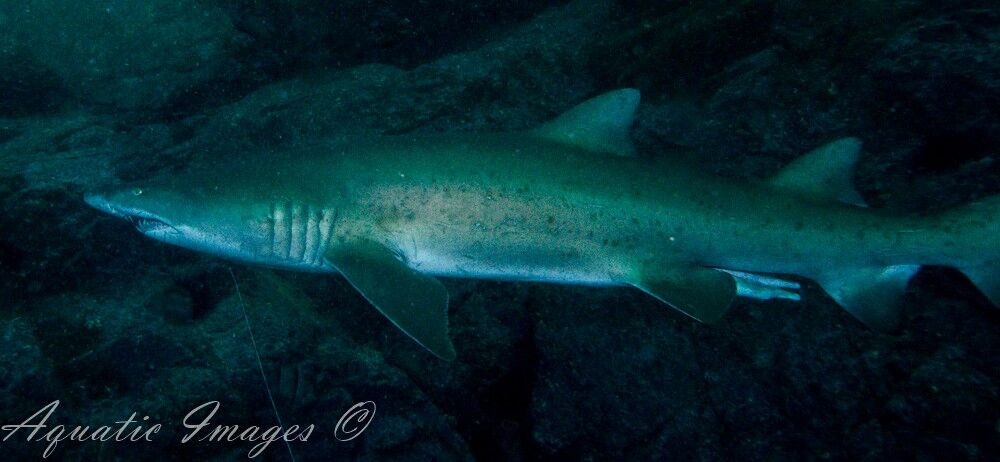 f97393cb-87e0-4bc8-88f6-e50524df9b99