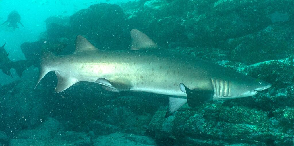 948c749f-10a3-4759-9481-b15da4e68670