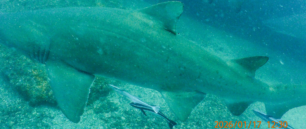 56fdf24e-4e09-49c5-bd3a-12b4ce67aa5d