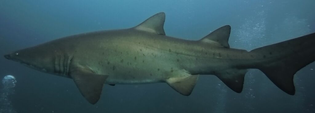 1b8db7f2-a8d7-4f6c-8ccf-98470f4bee2f