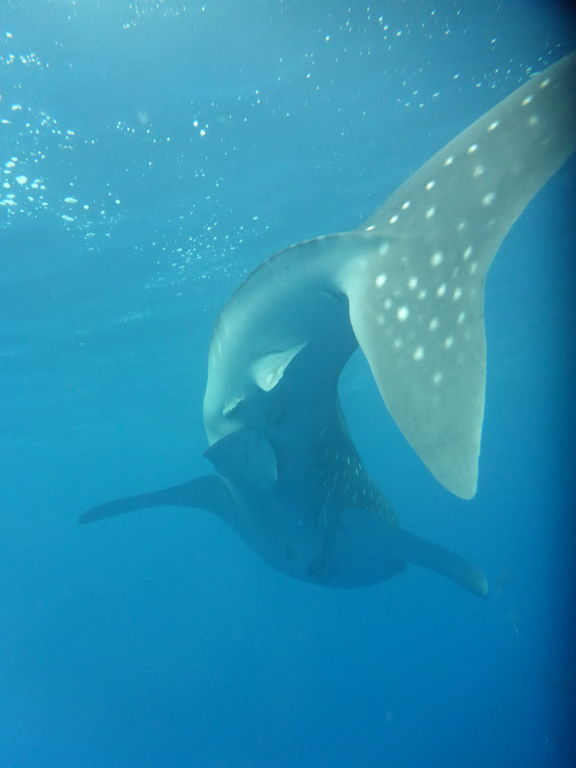 624feea8-88c2-4d22-a9d7-cb7d4c3f697c