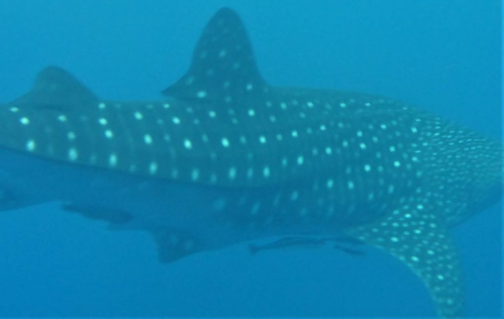 624feea8-88c2-4d22-a9d7-cb7d4c3f697c