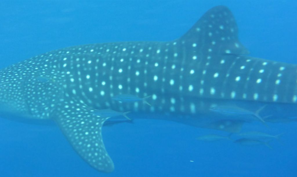 624feea8-88c2-4d22-a9d7-cb7d4c3f697c