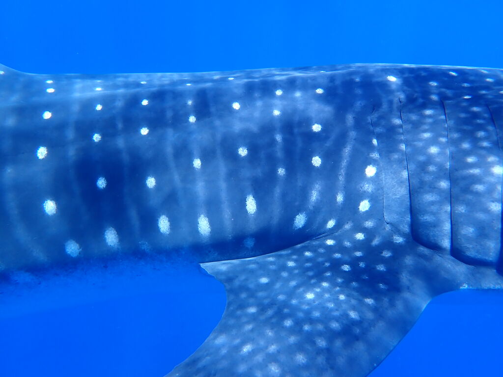 67ab5890-1720-4dec-bf2f-0e6caa83b6e8