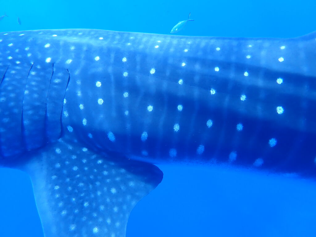 67ab5890-1720-4dec-bf2f-0e6caa83b6e8