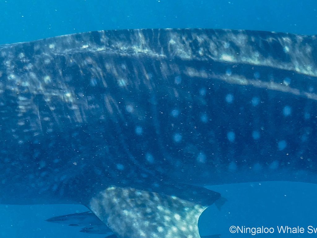 8c0ccc14-7207-4fdf-84d0-86aa85916204