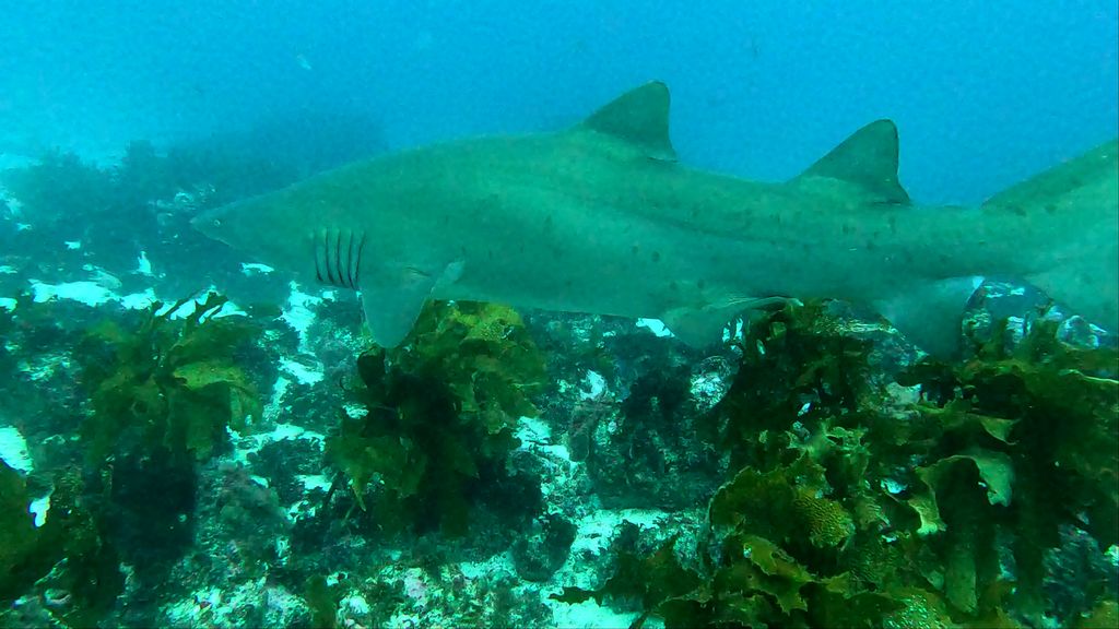 d394f46c-205e-4999-8e64-b6e94b75d4c9