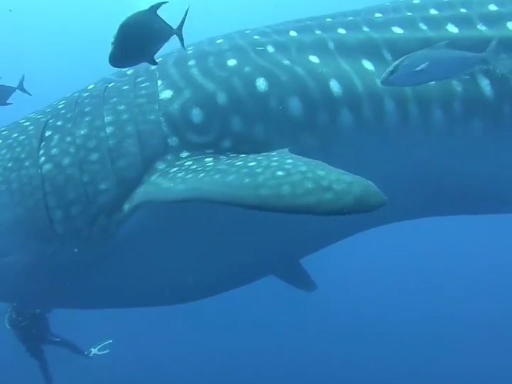 37b1dafd-db95-4145-a6bb-bfcc651ebac7