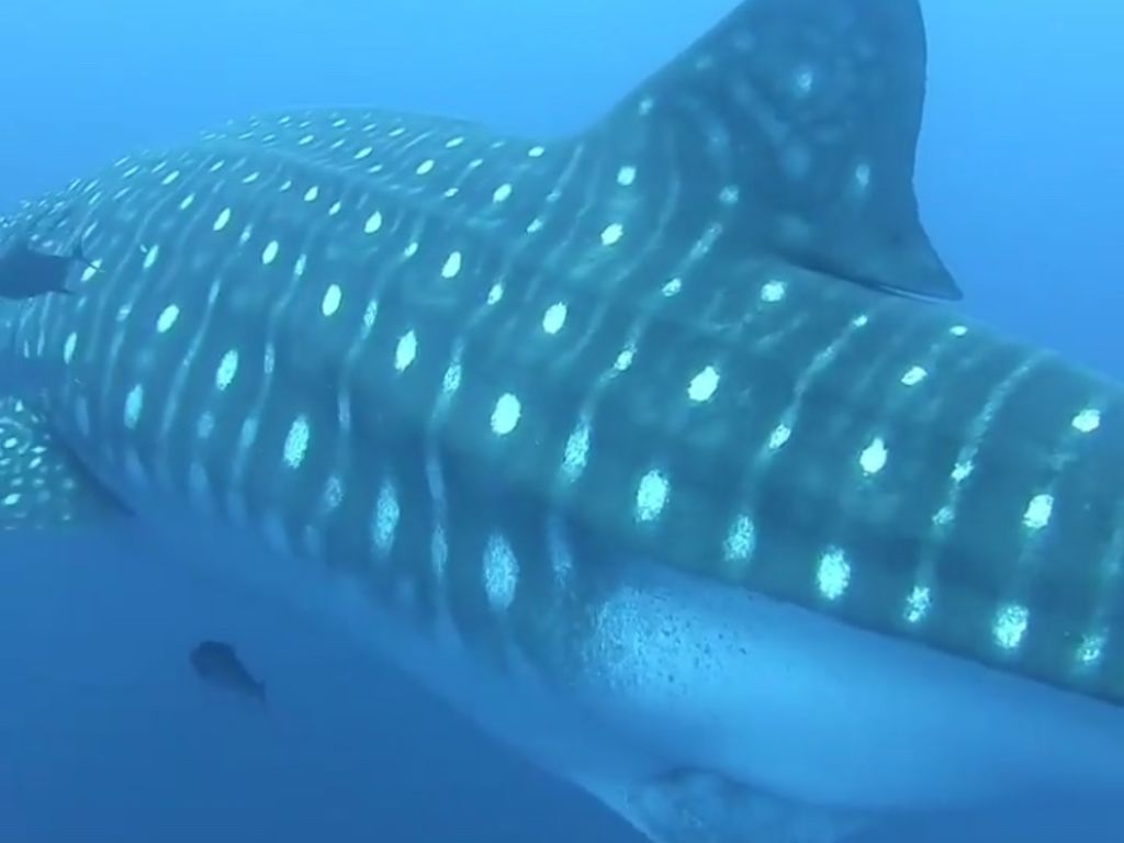 37b1dafd-db95-4145-a6bb-bfcc651ebac7