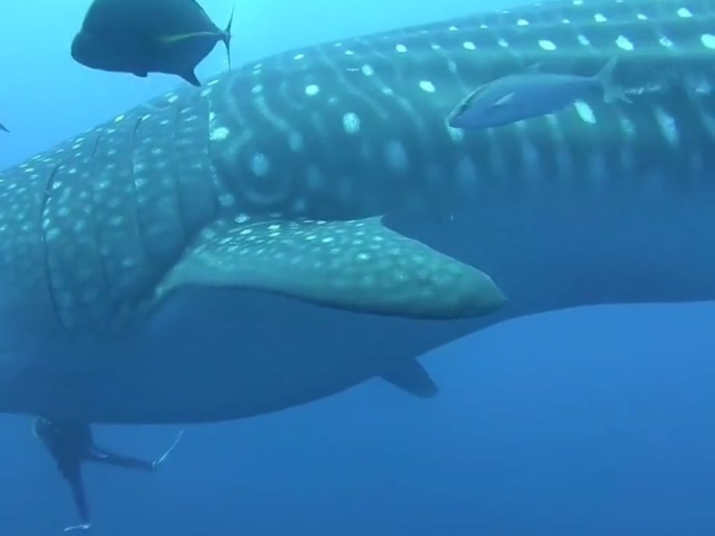 37b1dafd-db95-4145-a6bb-bfcc651ebac7