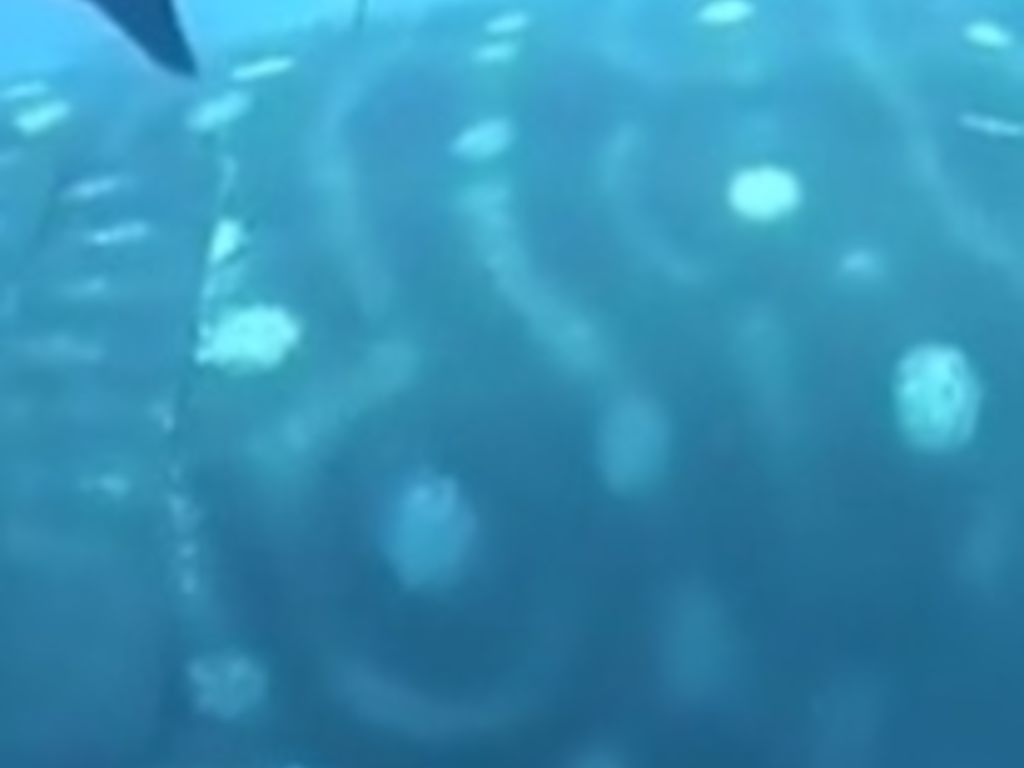 37b1dafd-db95-4145-a6bb-bfcc651ebac7