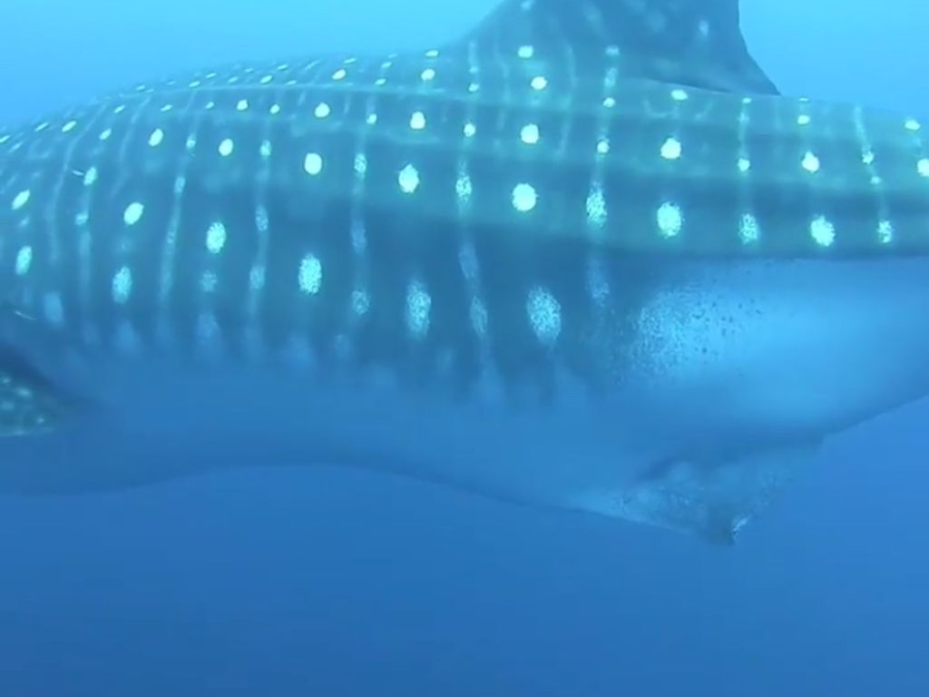 37b1dafd-db95-4145-a6bb-bfcc651ebac7