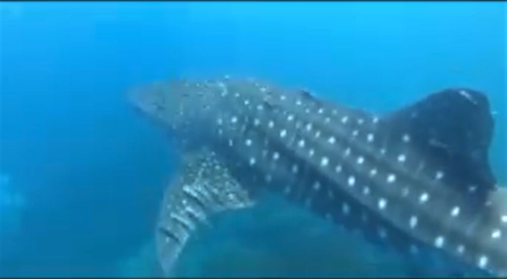 77d85d33-e1db-43e7-a071-6b54ae937c24