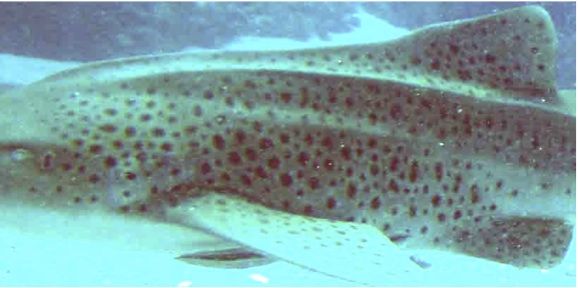 262e4859-ddbe-462b-a402-d978ea90dfd8