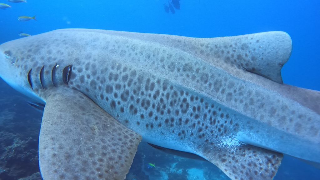 cfb0823e-1745-4129-a686-9b115666000c