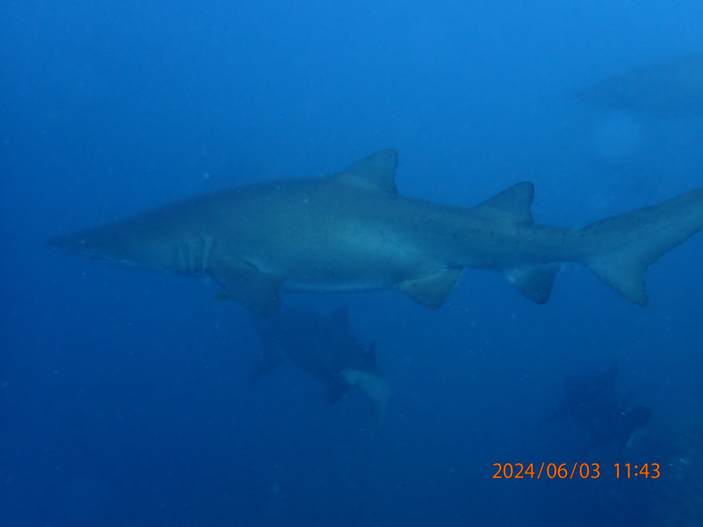 7a30bbb0-125c-495b-9247-2ad69c9dfd10