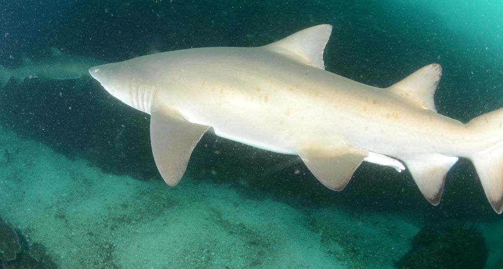 52fe86d9-db8b-45f7-a12d-b1f76f6acf55