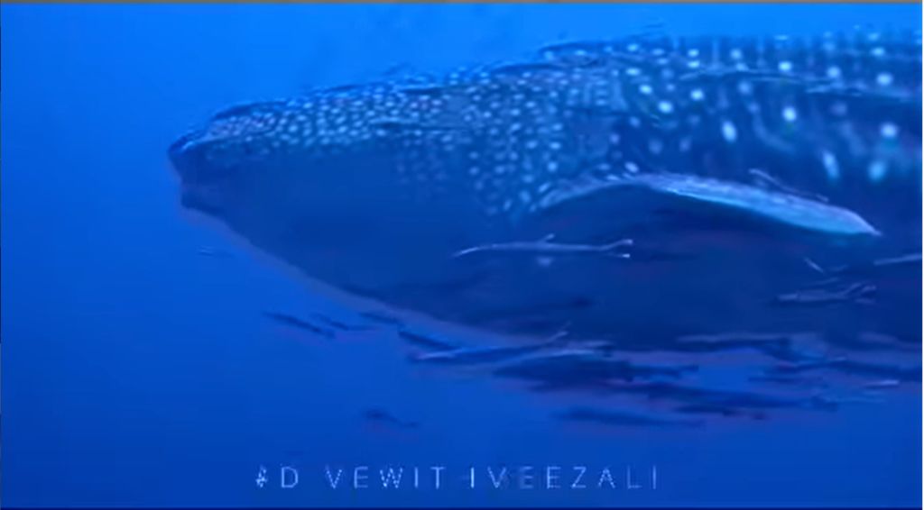 5581d2df-9219-4653-aa9f-d6fa82c3f598