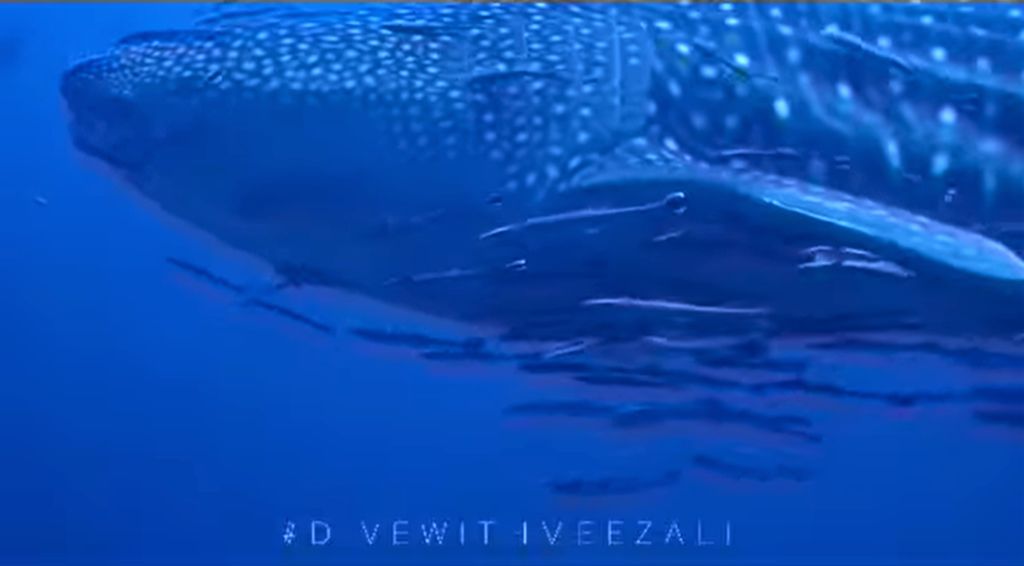 5581d2df-9219-4653-aa9f-d6fa82c3f598