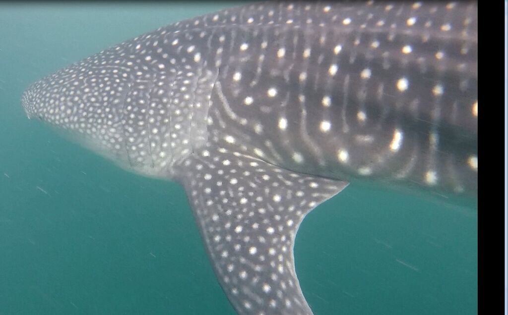 6de99128-dd31-4962-8ef5-13e53034e79f