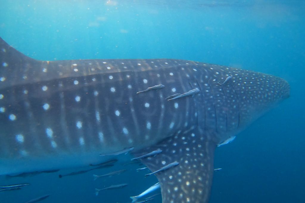 0cbf87d0-ec6c-4e9a-bbb3-613b61d49a27