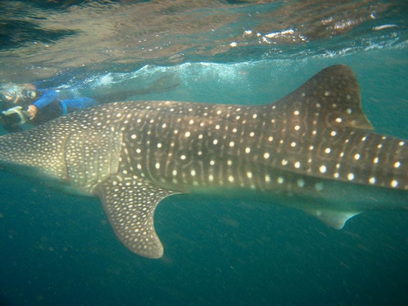 2e1fe955-90dd-4171-b8aa-70d8426a8a51