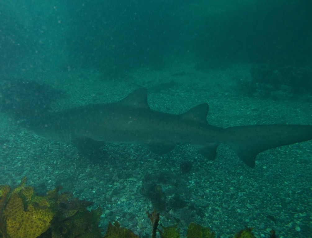 413eb5e5-0cef-4abd-93c8-40e4ae08c6ae