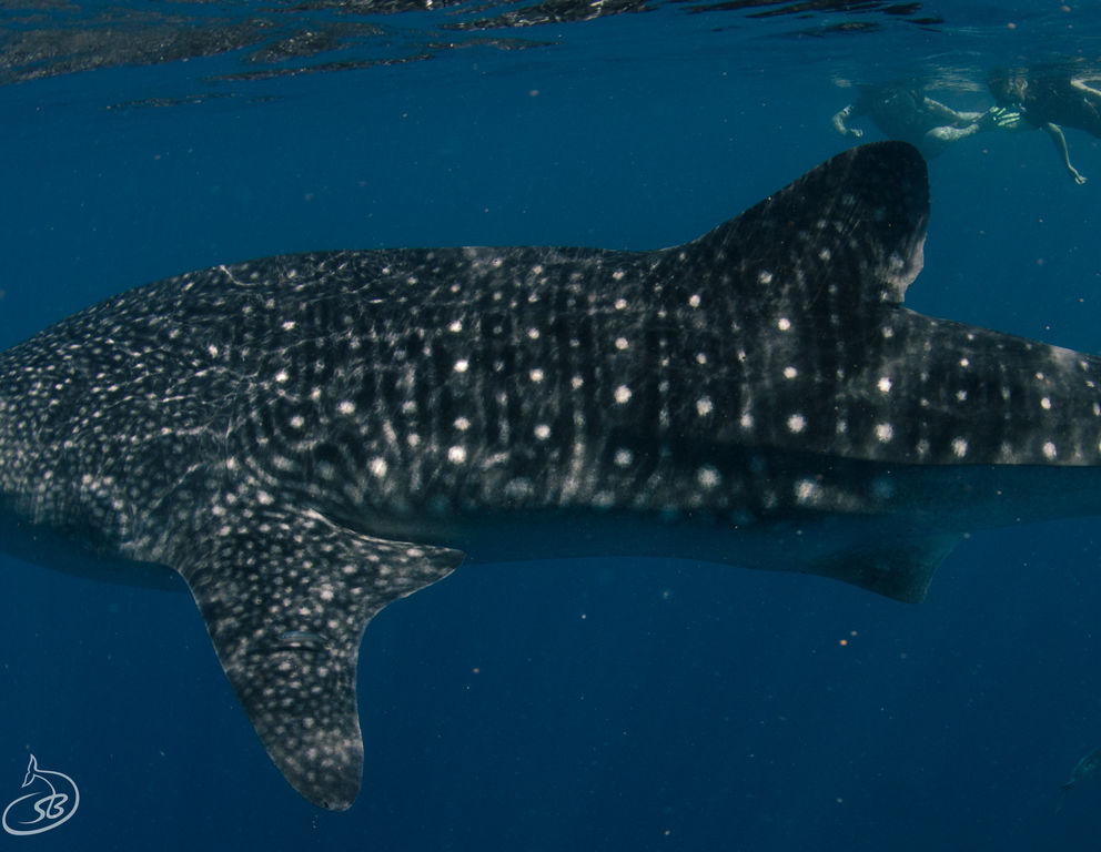 384876e2-0b86-4086-8b47-b7cf48e8d01f