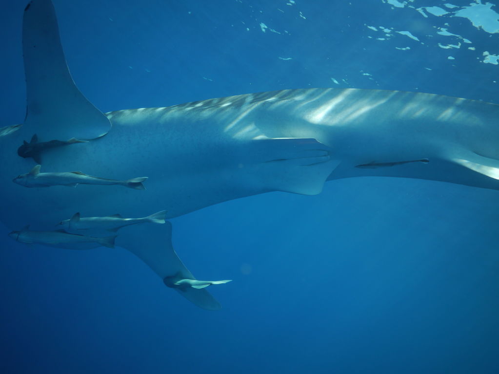 57854f65-c695-480d-8bfc-091e6343c0c3