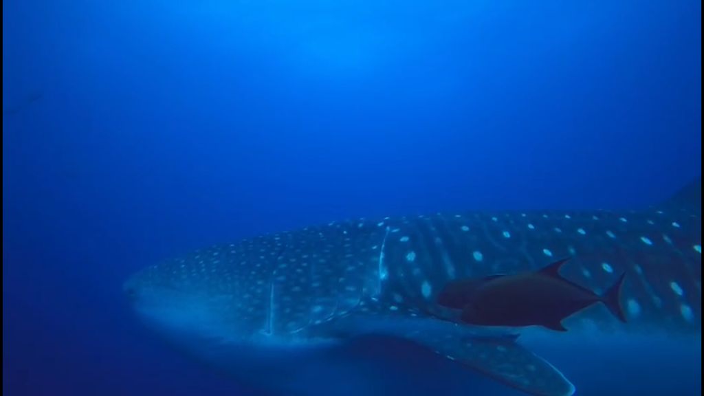 80122e1a-5af6-4ffb-978a-bd871f7535ae