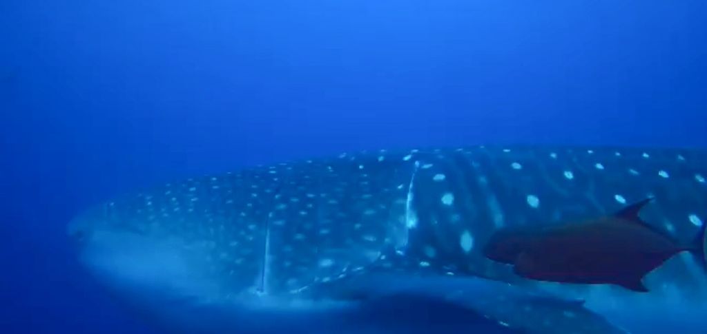 80122e1a-5af6-4ffb-978a-bd871f7535ae