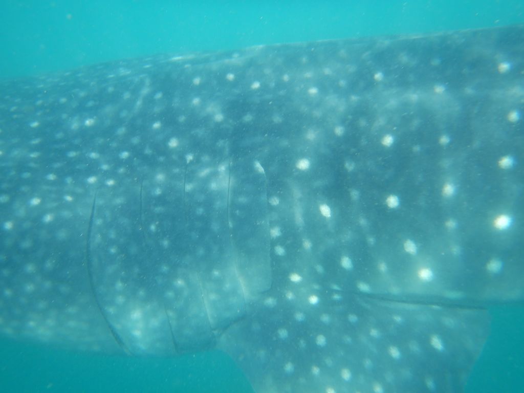 024c2470-7a8b-4af2-bfe4-84ce0437b3ce