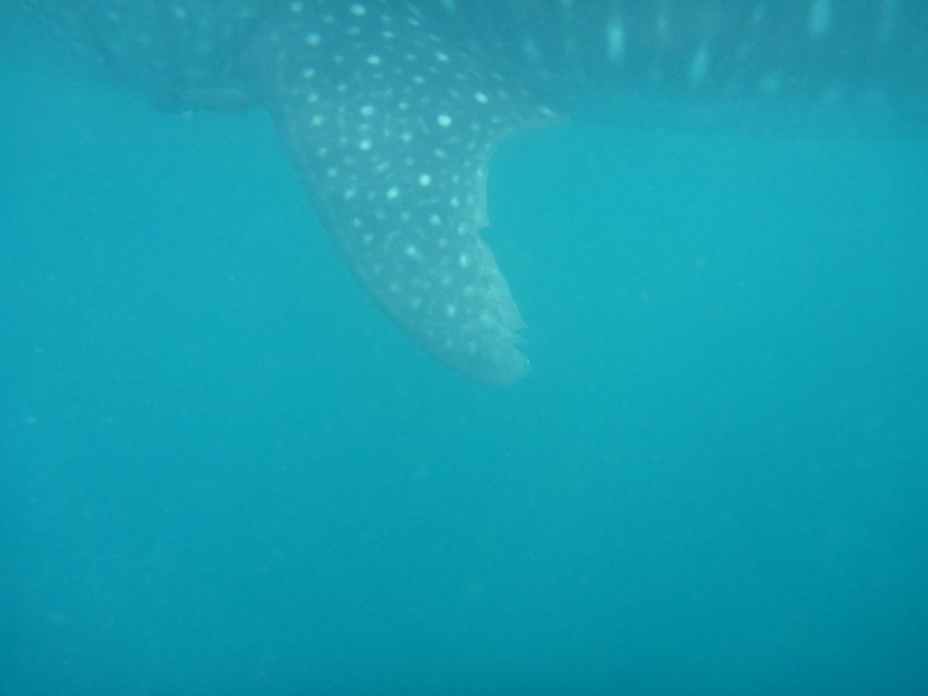 5e113e11-5eea-48e5-87c5-71cb73eefa82