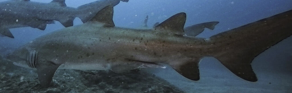 6f79fb43-995f-45ce-ba1a-dd2235b5bebc