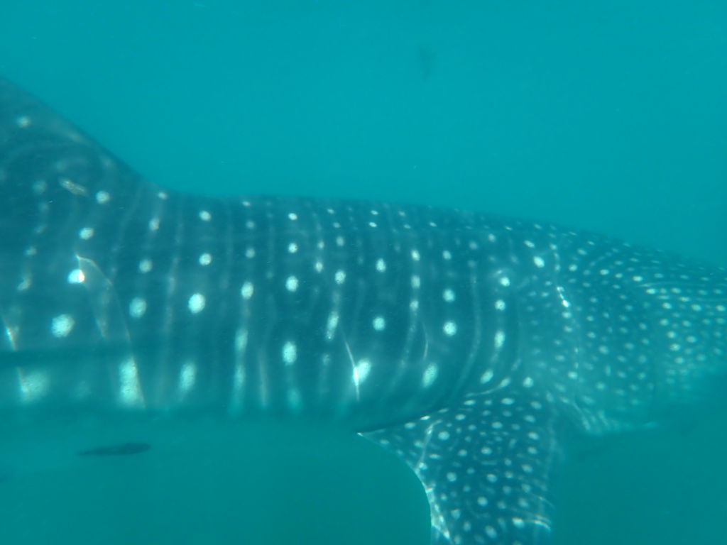 0c2d18bd-89d3-4a5a-b352-61d6013298a9