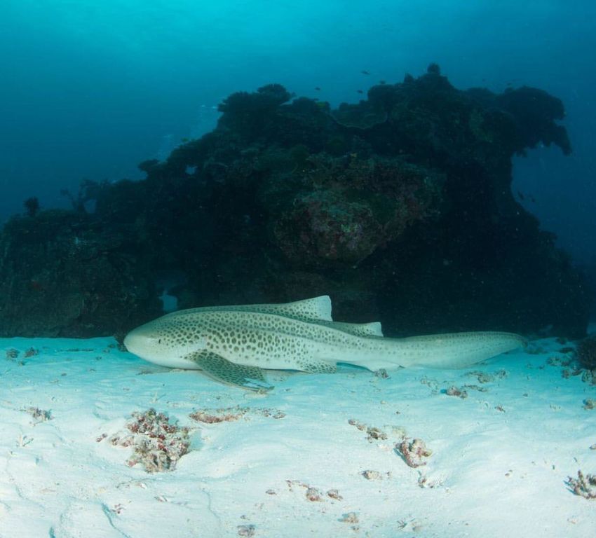 fce645aa-fa1a-4336-a545-0b14a8ead7e2