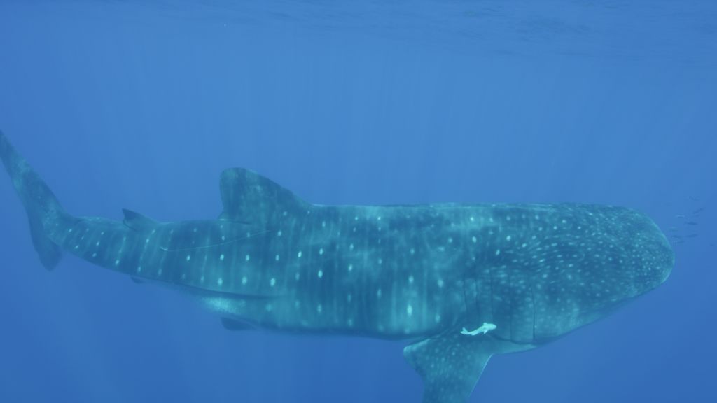 82873f84-4089-4f7b-a4f8-ca3f8eb5cfdd