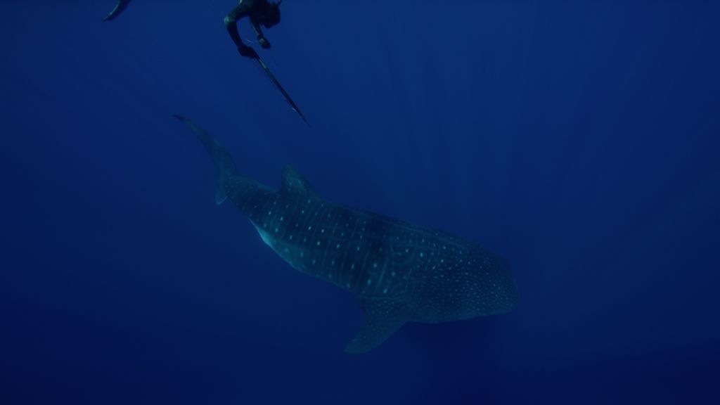 82873f84-4089-4f7b-a4f8-ca3f8eb5cfdd