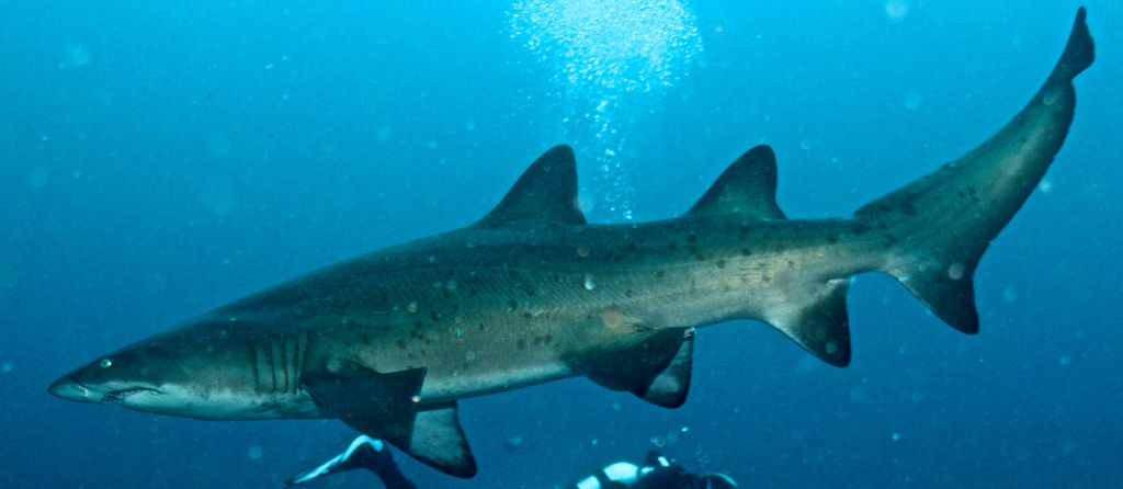 a671ddaf-b633-4973-9314-8a7f3321275d