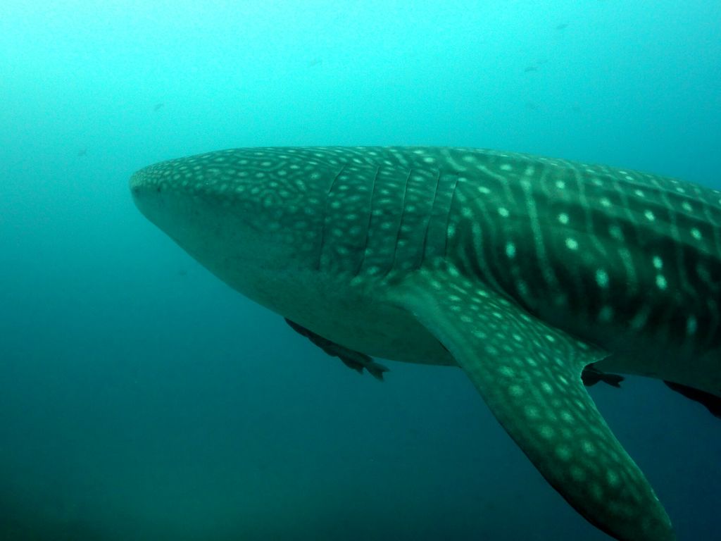 d9c9263a-d0ed-4ac6-a4f8-c1a44dbb73fa