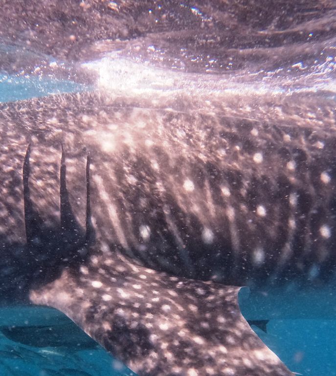 707e060f-526f-412c-a543-833820aed0eb