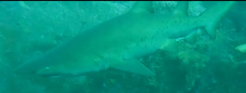 ef6bacb2-f54c-4970-8f7b-590f3e9e1b8c